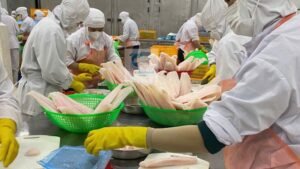 pangasius supply chain 2026
