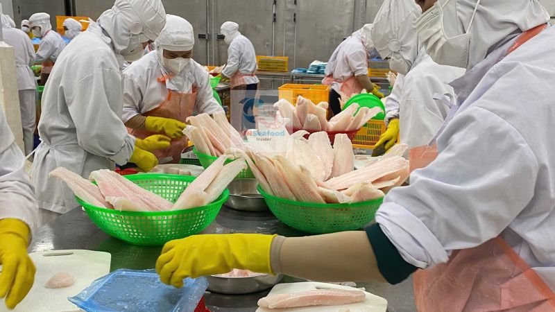 pangasius supply chain 2026