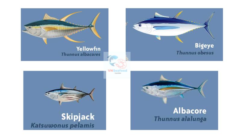 Vietnam tuna export guide for importer