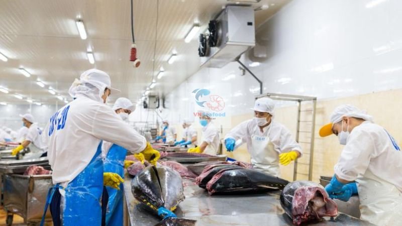 vietnam tuna processing