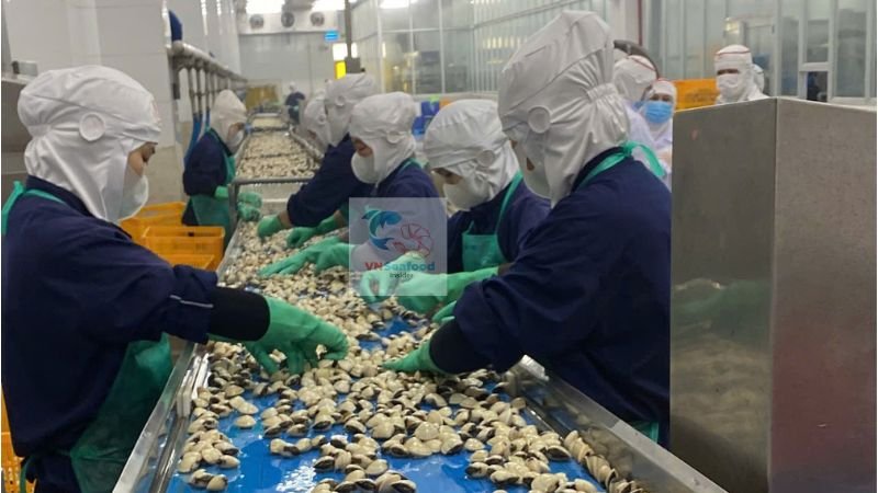 vietnam clams to US