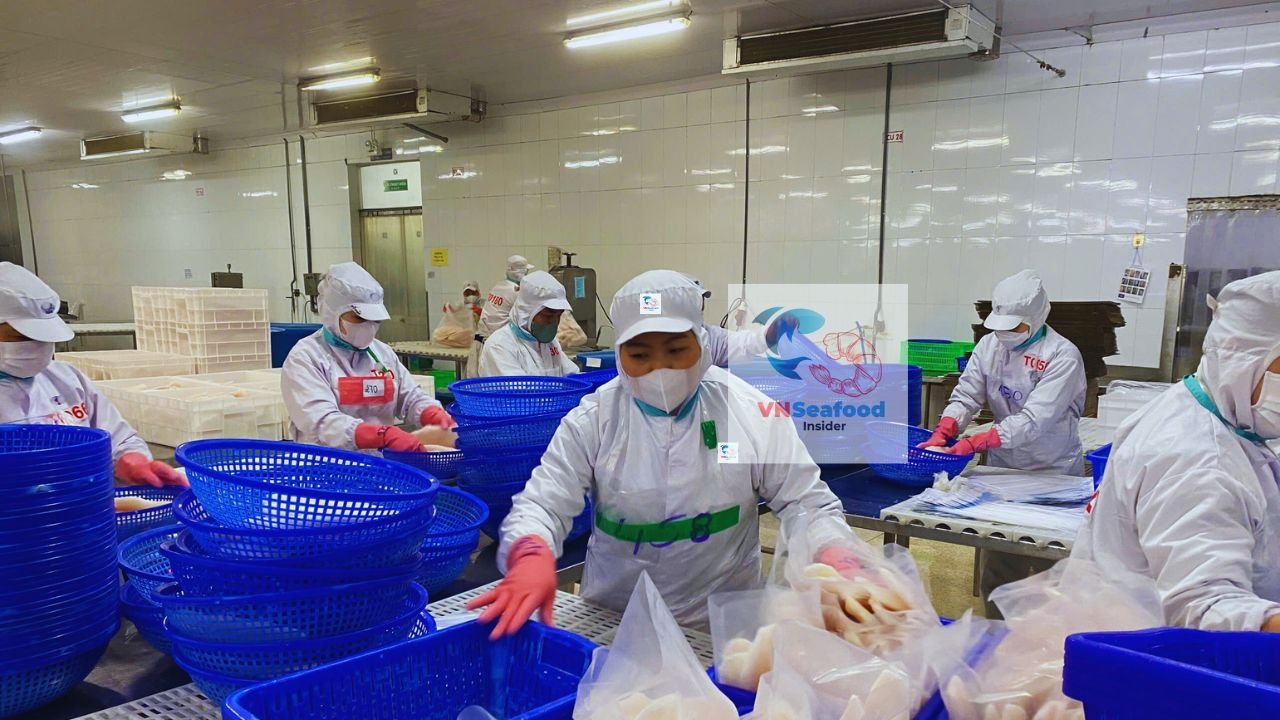 vietnam pangasius factories