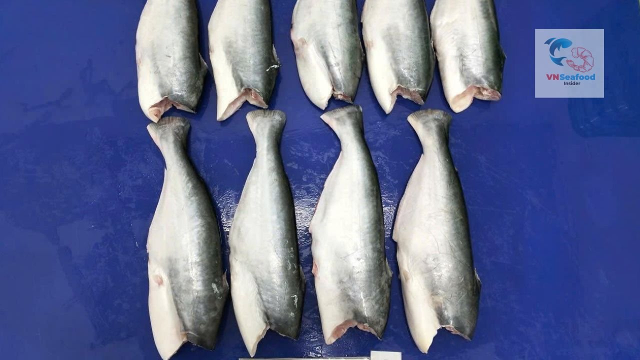 pangasius vietnam
