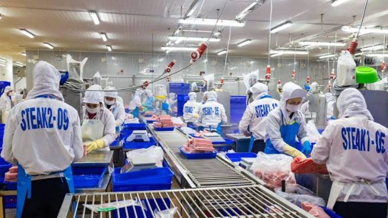 Top Vietnam tuna processing companies