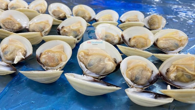 cooked white clams