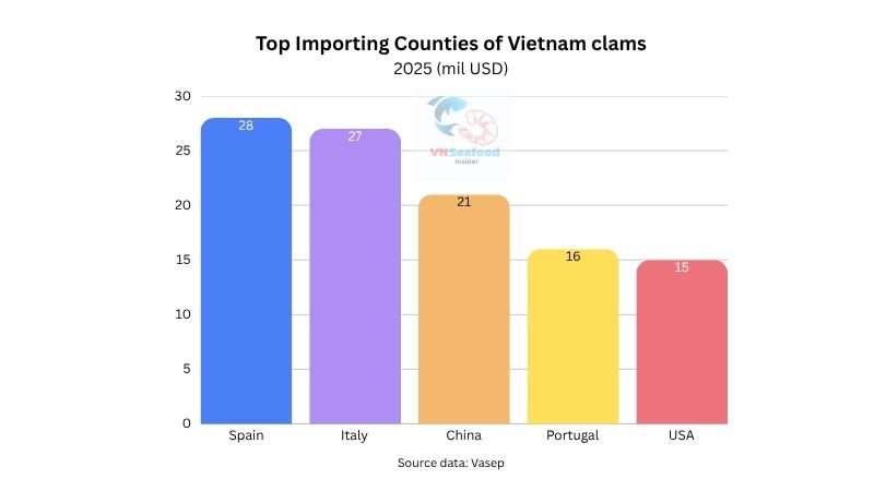 Vietnam white clams by importers