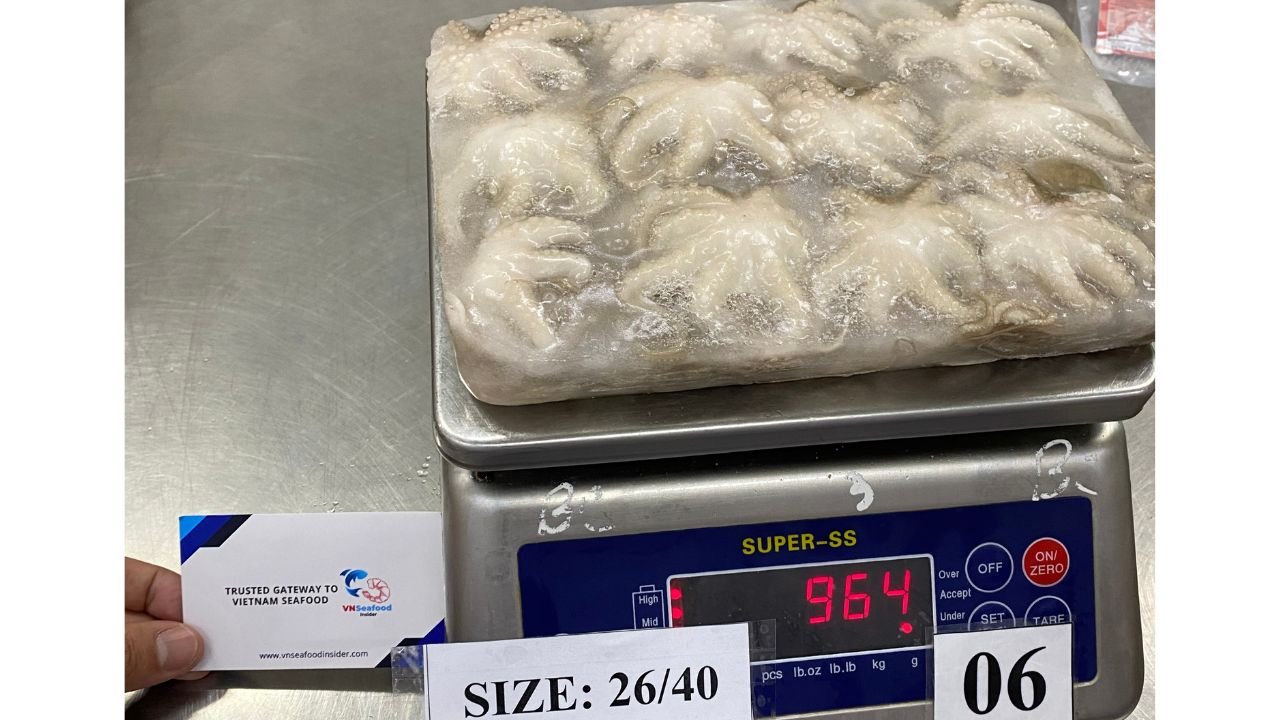 baby octopus single skin