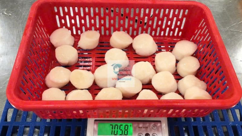 scallop processing vietnam