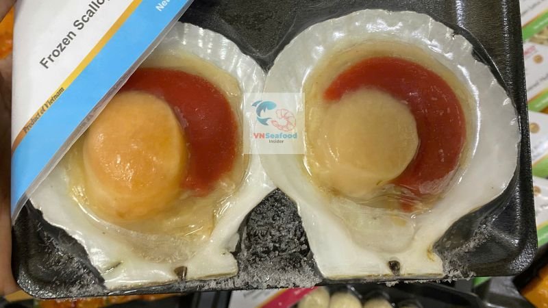 hokkaido scallop vietnam