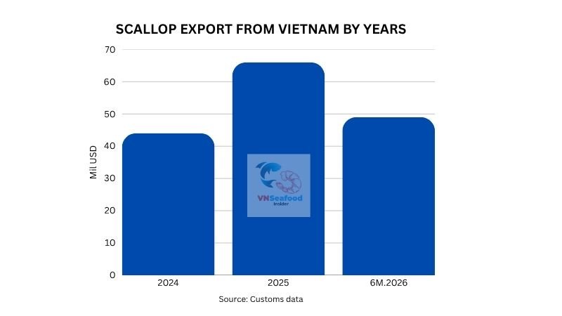 scallop export from vietnam