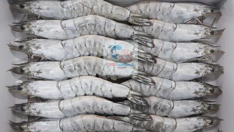 vietnam shrimp supplier