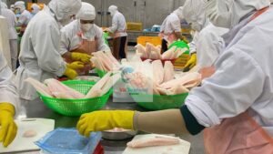 reliable seafood supplier in vietnam