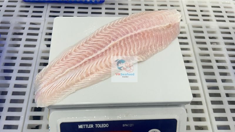 pangasius small size fillet