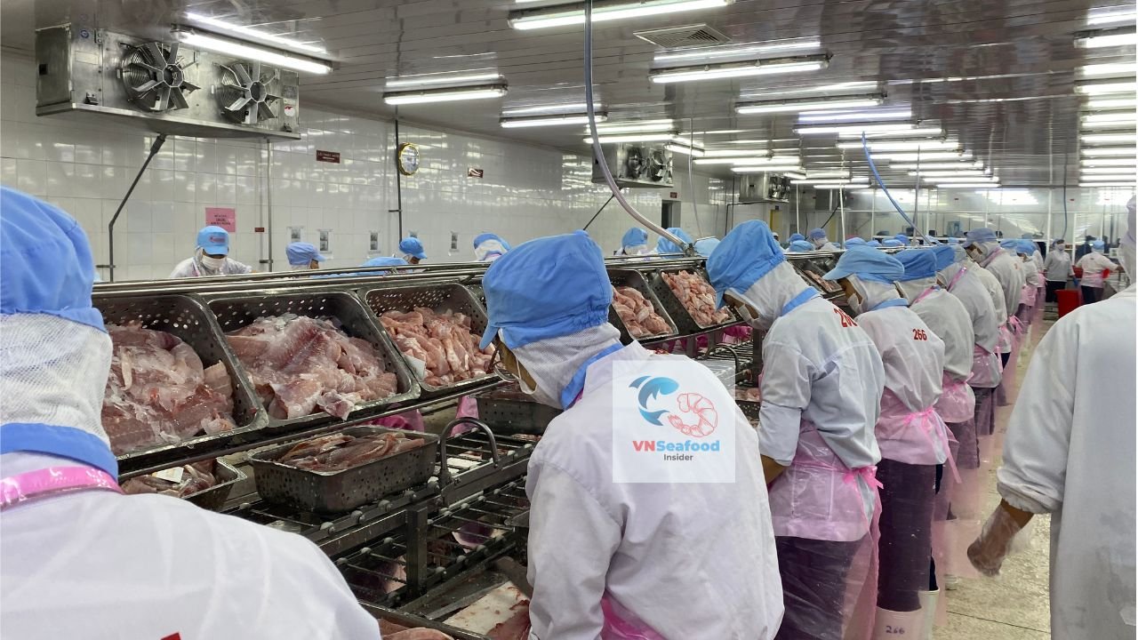 Workers in blue caps and white coats trimming and sorting fish on a processing line, with steel baskets of fish