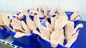 private label pangasius fillet