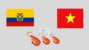Vietnam Shrimp vs Ecuador Shrimp