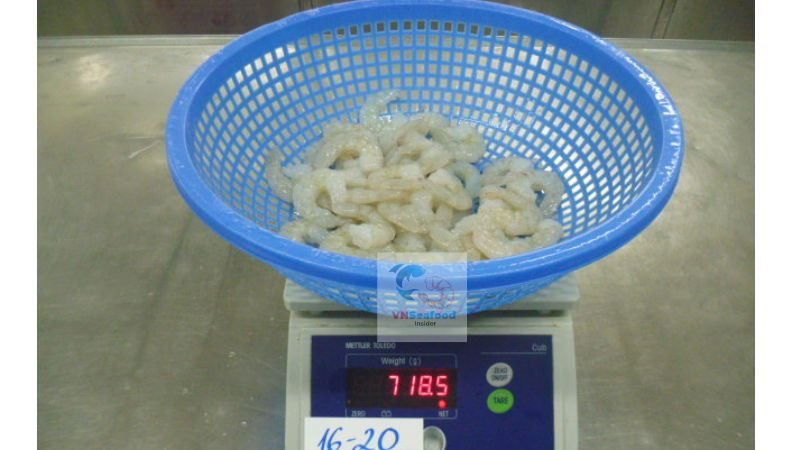 Vietnam Shrimp vs Ecuador Shrimp 3