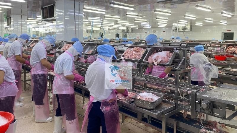 vietnam seafood market 9m.2026