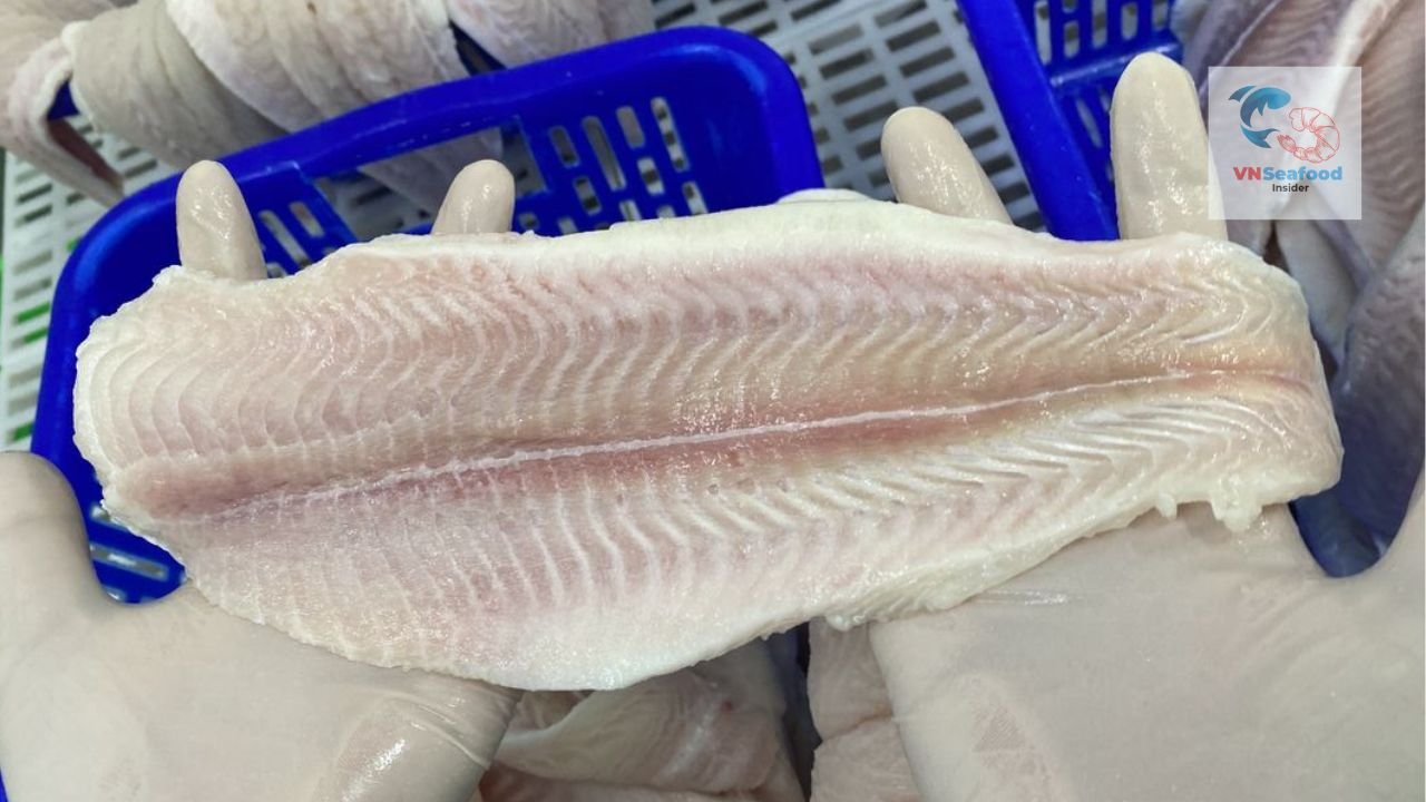 private label pangasius fillet semi trimmed
